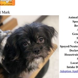 Meet your Posher, Vicki